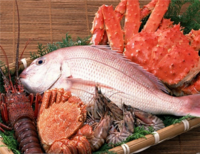 新生儿湿疹妈妈饮食