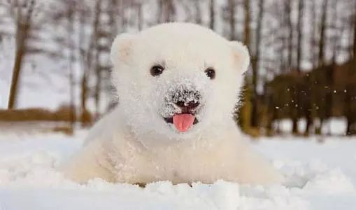 孩子在户外玩雪，应该注意哪些呢？