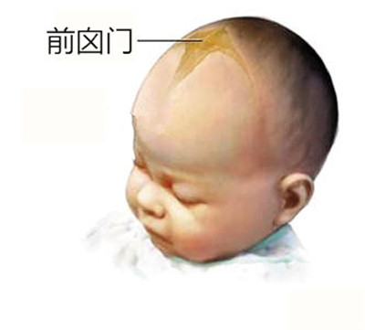 婴儿囟门形状