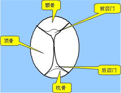 囟门凹陷怎么办