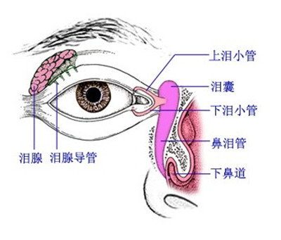 新生儿泪囊炎的按摩方法