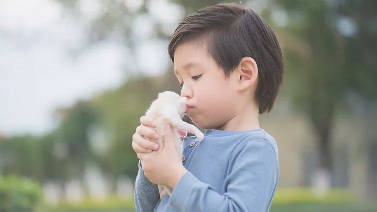 暖男好儿子的养成术，家长必看！
