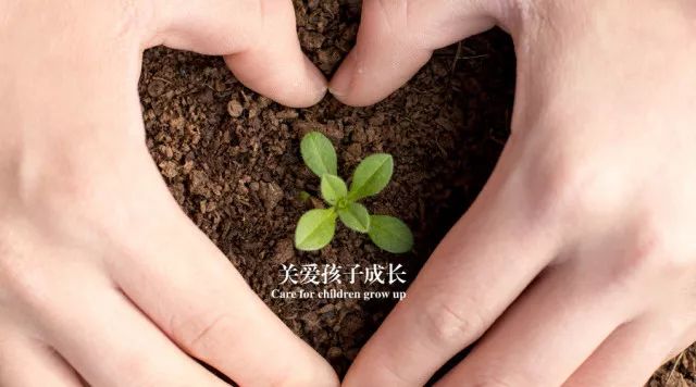 你的目光短浅，会毁掉孩子的未来！