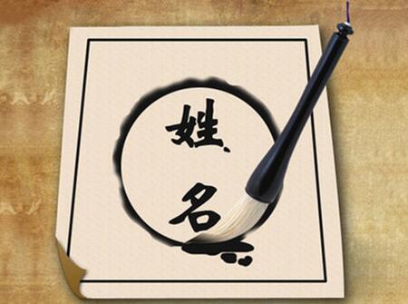 2018年平安夜出生的狗宝宝好不好3