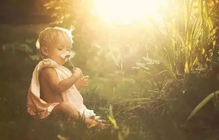 孩子太懂事,父母可能要深思了