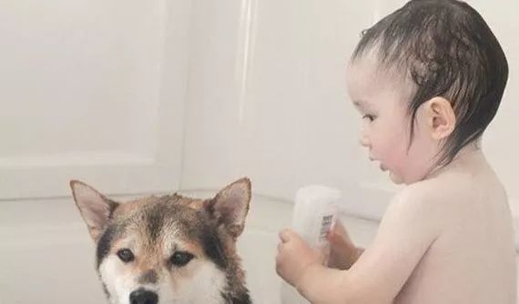 再爱孩子,也要让他承受这3种苦!家长必看