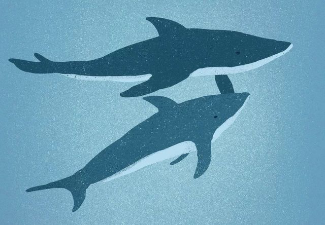 叛逆期的孩子太爱“搞破坏”，家长该怎么教育？