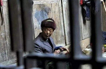 养的孩子个个出息，八旬老翁却要卖姜度日！