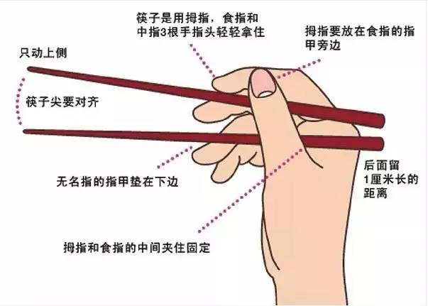 宝宝用筷子不用教，长大后自然就会了？！