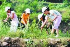 教育孩子这“三吃”，家长必看！