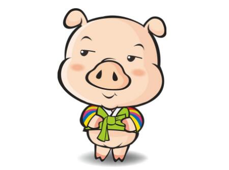 2019年猪宝宝好不好3