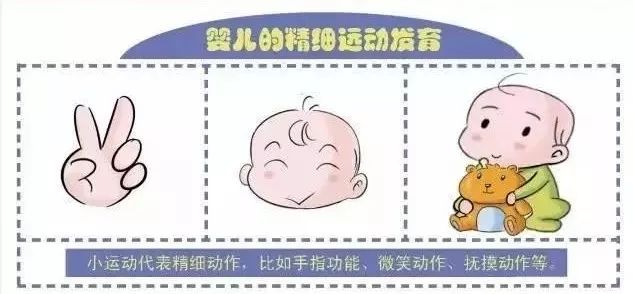 如何发展宝宝精细运动技能？
