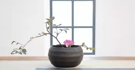 “静待花开”的教育,前提是“默默耕耘”!家长必看!