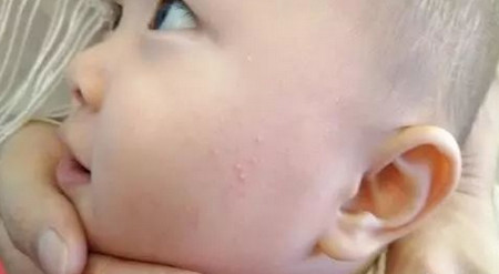 孩子散养还是圈养,看完本文你就知道答案了!