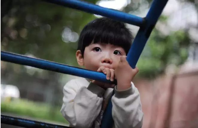 这个心理效应,越早教给孩子,他在人际交往中越占优势!