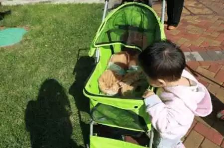 婆婆不习惯城市生活, 带孙子回农村, 妈妈回老家看到脏兮兮孩子, 气昏了头