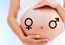 2019年预测生男生女计算器？2019年生男生女计算器准吗