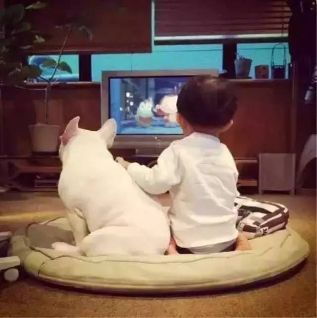 孩子的专注力总是培养不起来？可能是因为这个！