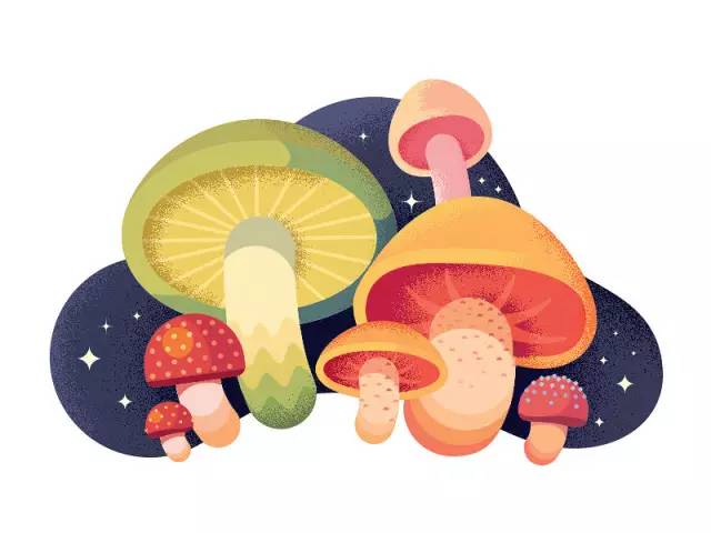 掌握这31个敏感期，你就知道孩子的这些行为真的不是在犯熊了！