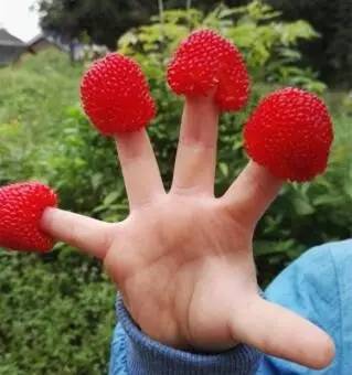 孩子会玩，你知道有多重要吗？