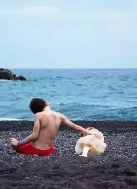 挨打后的孩子，会在心里想些什么呢？
