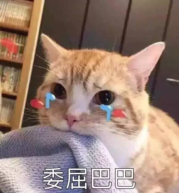 虽然我很小，但是你们不要这样“逗”我