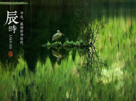 2018年辰时出生的狗宝宝好不好1