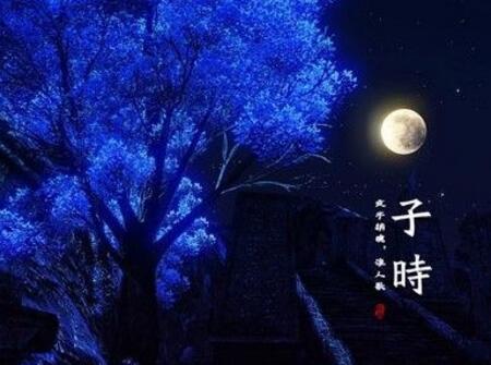 2018子时出生的狗宝宝好不好1