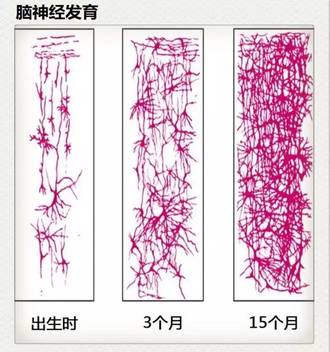 宝宝的智力落后了，这个锅当妈的要不要背？
