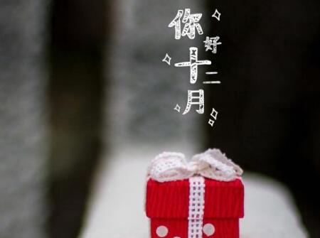 2018年冬天出生的狗宝宝好不好1