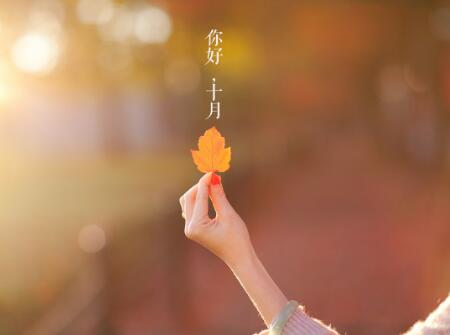 2018年秋天出生的狗宝宝好不好2