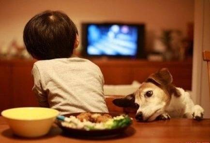 孩子幼儿园乖巧、在家却是小霸王？制定好家规是王道