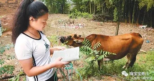 为什么农村考生越来越难出高考状元？