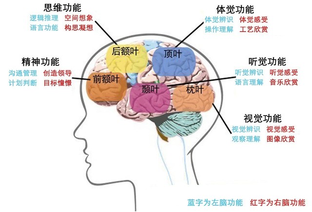 天哪！我的孩子撒谎了！