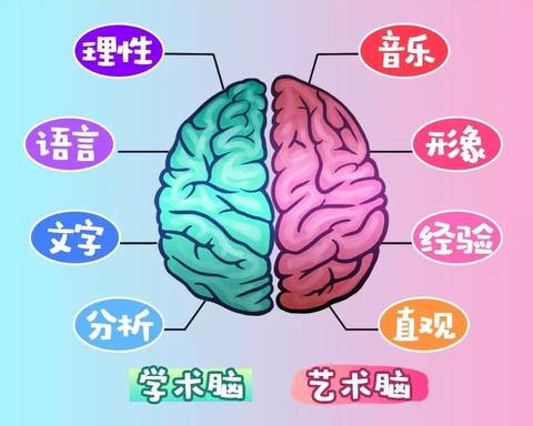 这些年，关于右脑开发的骗局……