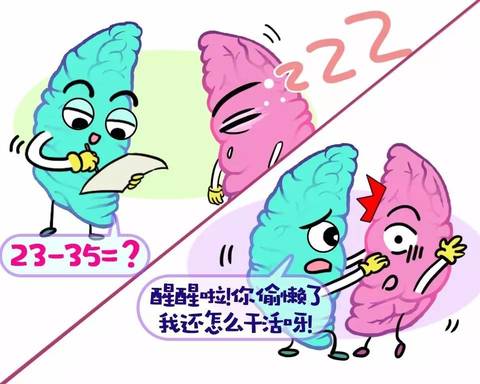 这些年，关于右脑开发的骗局……