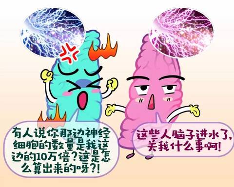 这些年，关于右脑开发的骗局……