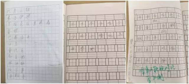 这些年,我只是养大了一个孩子,其余一事无成