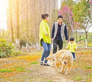超级奶爸是怎样诞生的？