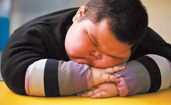 日本为何如此重视儿童运动？