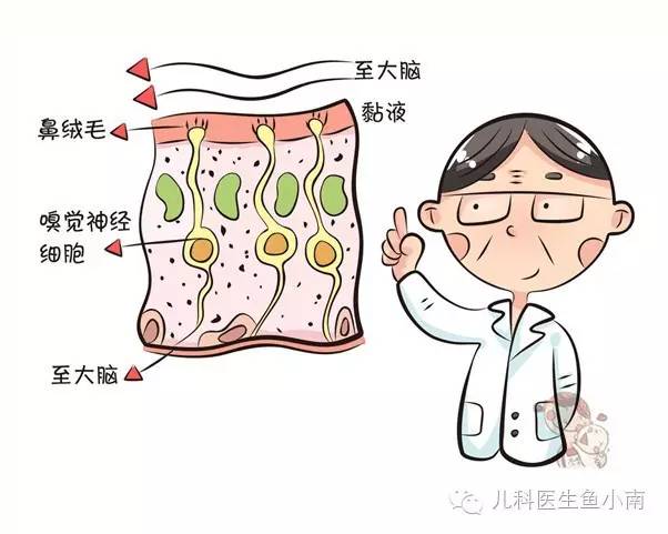 好闻不？好吃不？痛不痛？这些都是谁教宝的