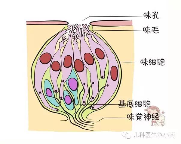 好闻不？好吃不？痛不痛？这些都是谁教宝的