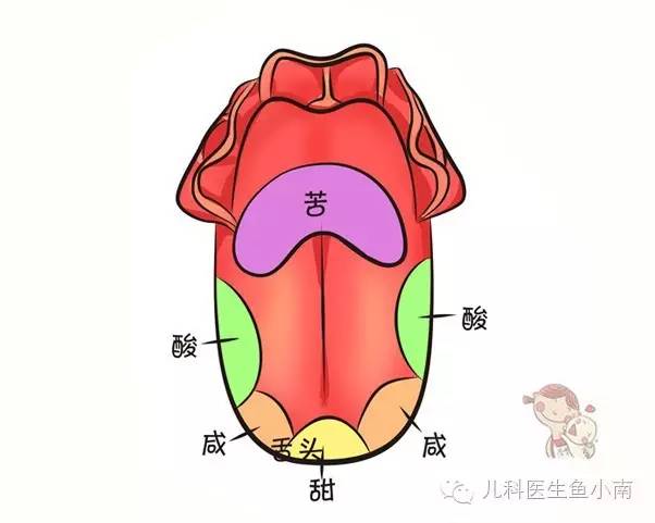 好闻不？好吃不？痛不痛？这些都是谁教宝的