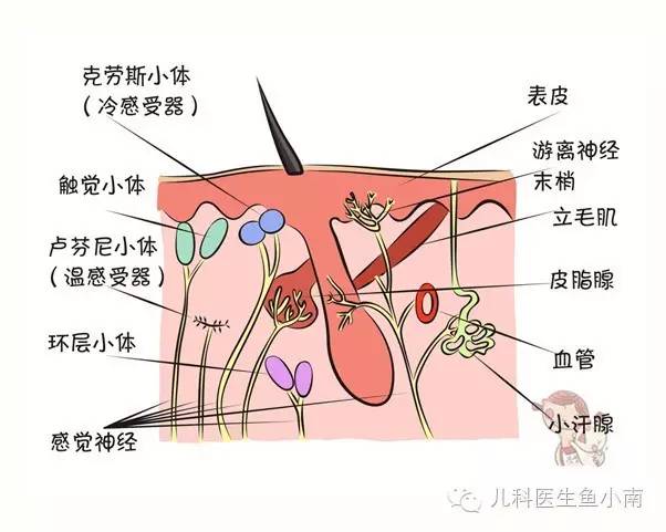 好闻不？好吃不？痛不痛？这些都是谁教宝的