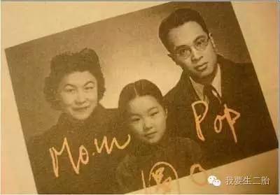爱丽丝2：每个（准）二胎父母及童年受过伤害的人都该看看