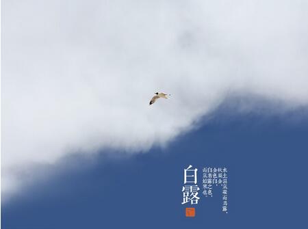 2019年白露节气出生的鸡宝宝好不好1