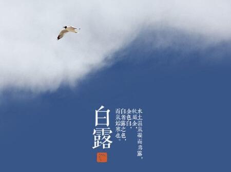 2018年白露出生的狗宝宝好不好2