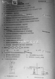 2019年全国高考理综真题汇总(组图)
