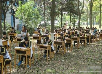 树林考场