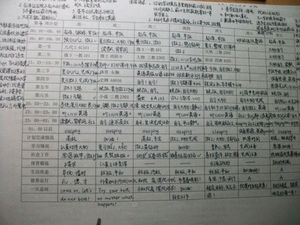清华学霸马冬晗走红 学习计划表曝光 妹妹马冬昕也传奇